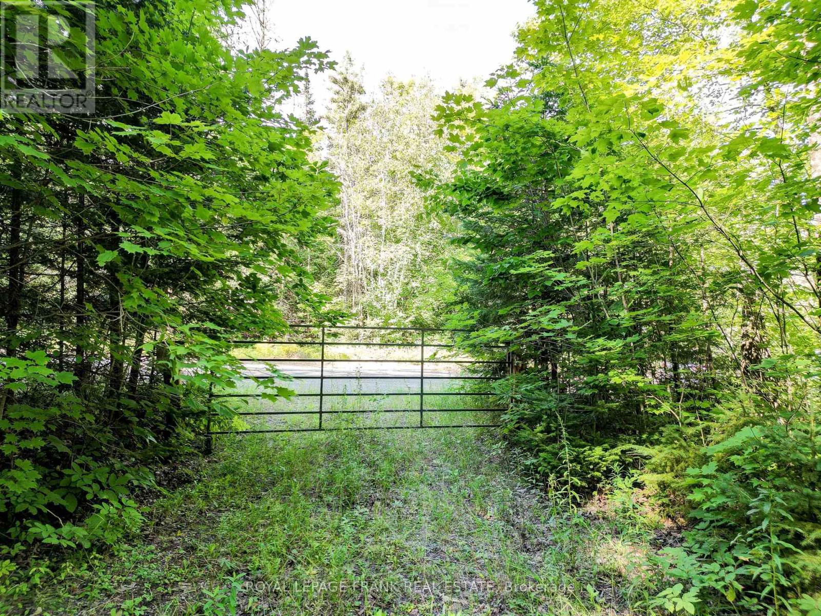 843 Lasswade Road, North Kawartha, Ontario  K0L 1A0 - Photo 2 - X12008493