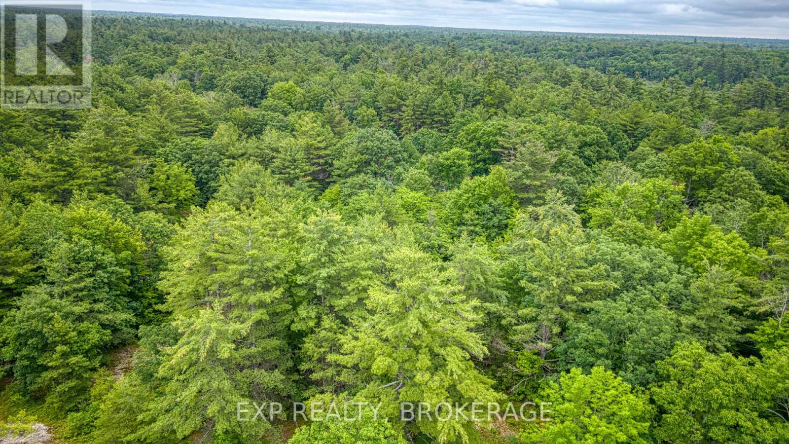 Pt Lt 14-15 Con 7 Echo Lake Road, Frontenac (Frontenac Centre), Ontario  K0H 1T0 - Photo 37 - X12211696