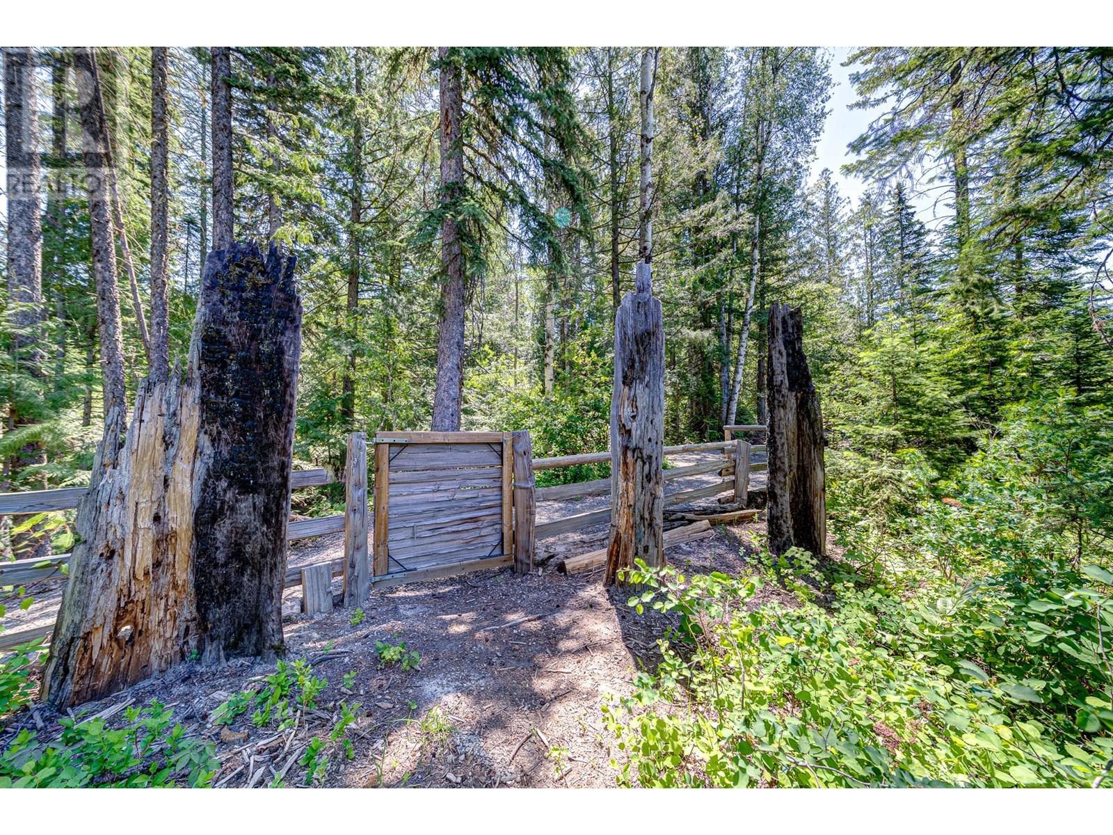 41 Piedmont Drive, Fernie, British Columbia  V0B 1M4 - Photo 85 - 10351700