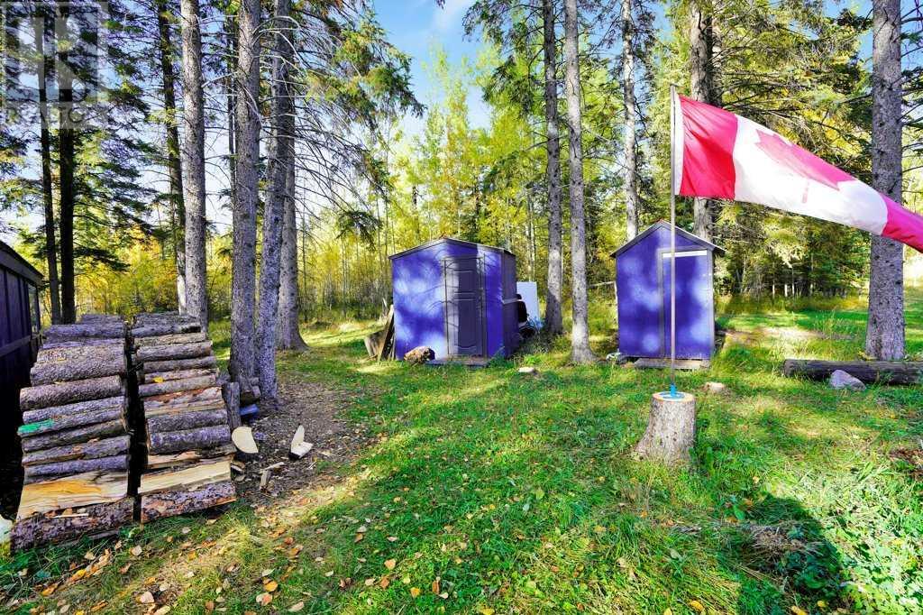 410 Bourbon Avenue, Winfield, Alberta  T0C 2X0 - Photo 33 - A2217730