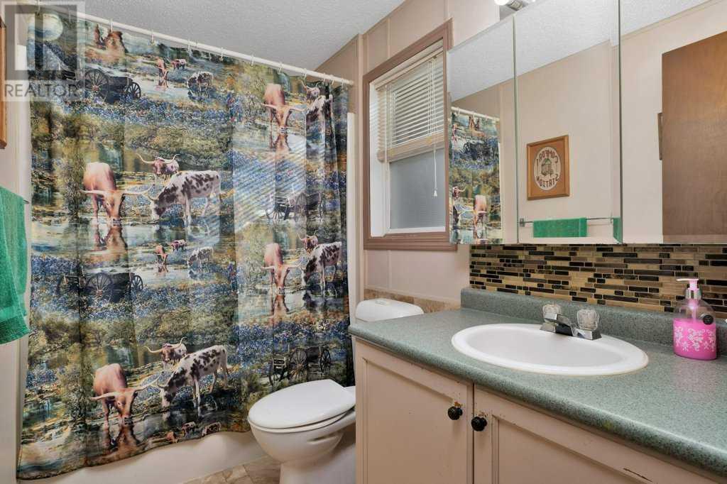 410 Bourbon Avenue, Winfield, Alberta  T0C 2X0 - Photo 18 - A2217730