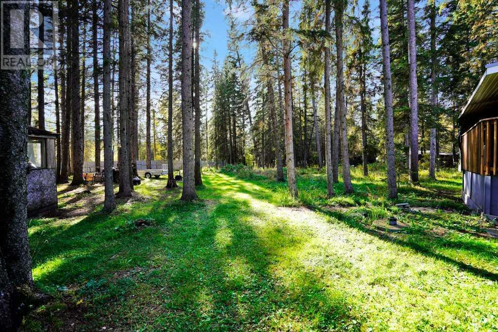 410 Bourbon Avenue, Winfield, Alberta  T0C 2X0 - Photo 24 - A2217730