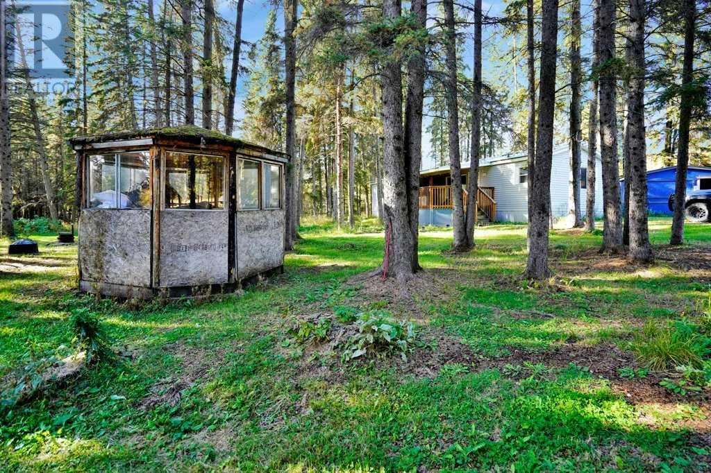 410 Bourbon Avenue, Winfield, Alberta  T0C 2X0 - Photo 25 - A2217730