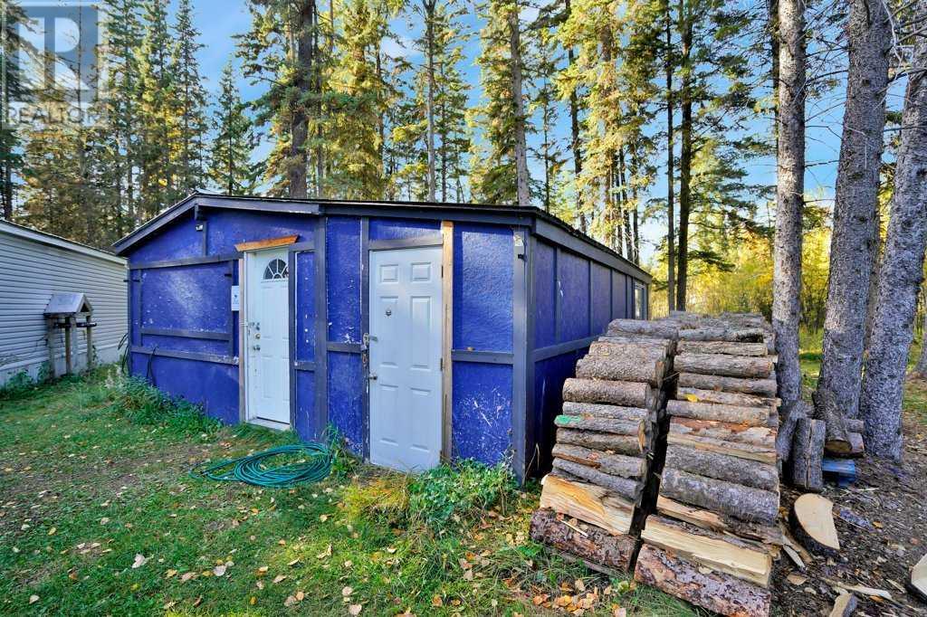 410 Bourbon Avenue, Winfield, Alberta  T0C 2X0 - Photo 32 - A2217730