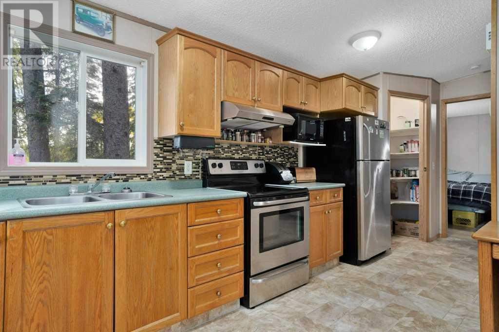 410 Bourbon Avenue, Winfield, Alberta  T0C 2X0 - Photo 10 - A2217730