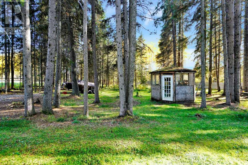 410 Bourbon Avenue, Winfield, Alberta  T0C 2X0 - Photo 23 - A2217730