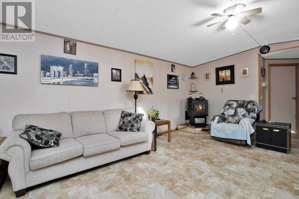 410 Bourbon Avenue, Winfield, Alberta  T0C 2X0 - Photo 6 - A2217730