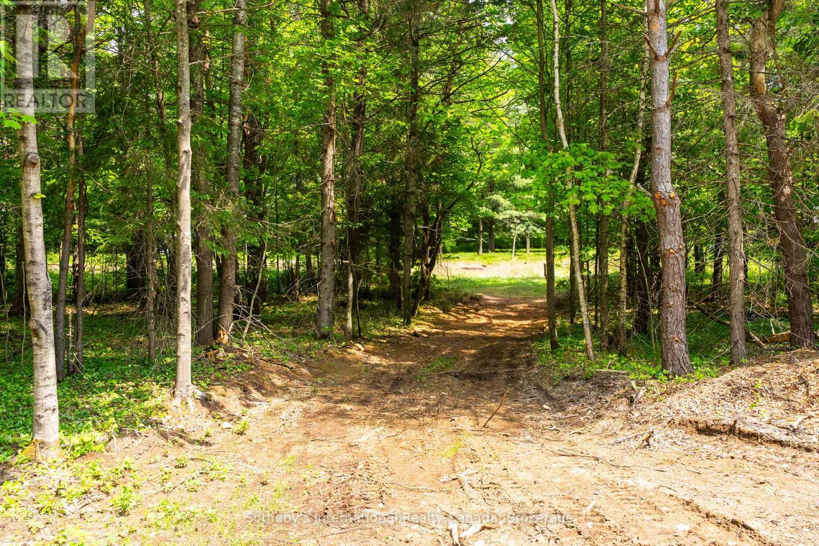 348 Fowlers Road, Huntsville, Ontario  P1H 2N5 - Photo 41 - X12216565