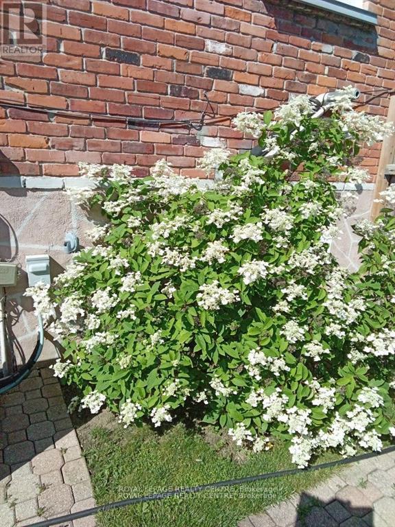 504 Galedowns Court, Mississauga (Mississauga Valleys), Ontario  L5A 3H9 - Photo 31 - W12217662