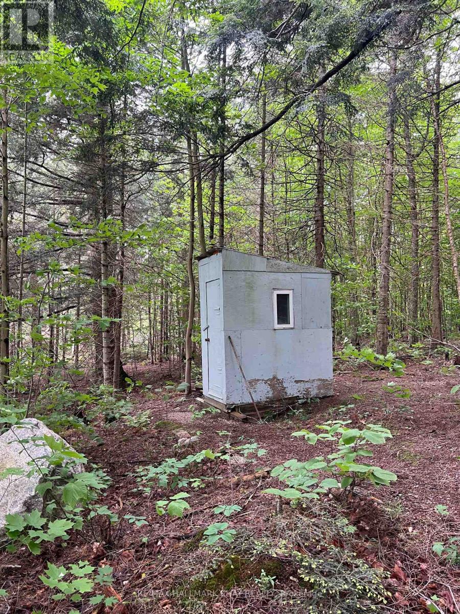 0 Chapman Strong Road, Magnetawan, Ontario  P0A 1Z0 - Photo 24 - X12217739