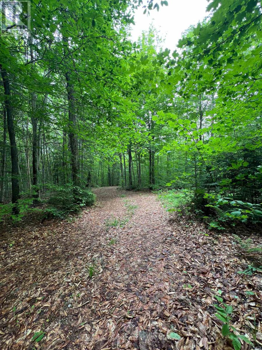 0 Chapman Strong Road, Magnetawan, Ontario  P0A 1Z0 - Photo 25 - X12217739