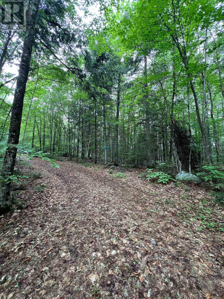 0 Chapman Strong Road, Magnetawan, Ontario  P0A 1Z0 - Photo 26 - X12217739