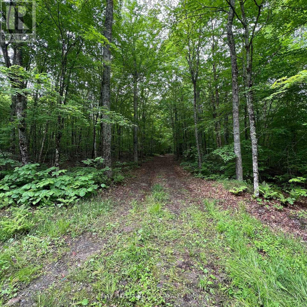 0 Chapman Strong Road, Magnetawan, Ontario  P0A 1Z0 - Photo 27 - X12217739