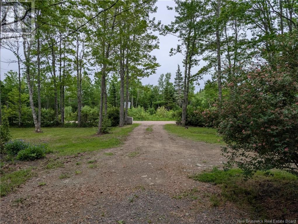 16 Carson Road, Havelock, New Brunswick  E4Z 0A5 - Photo 24 - NB119722