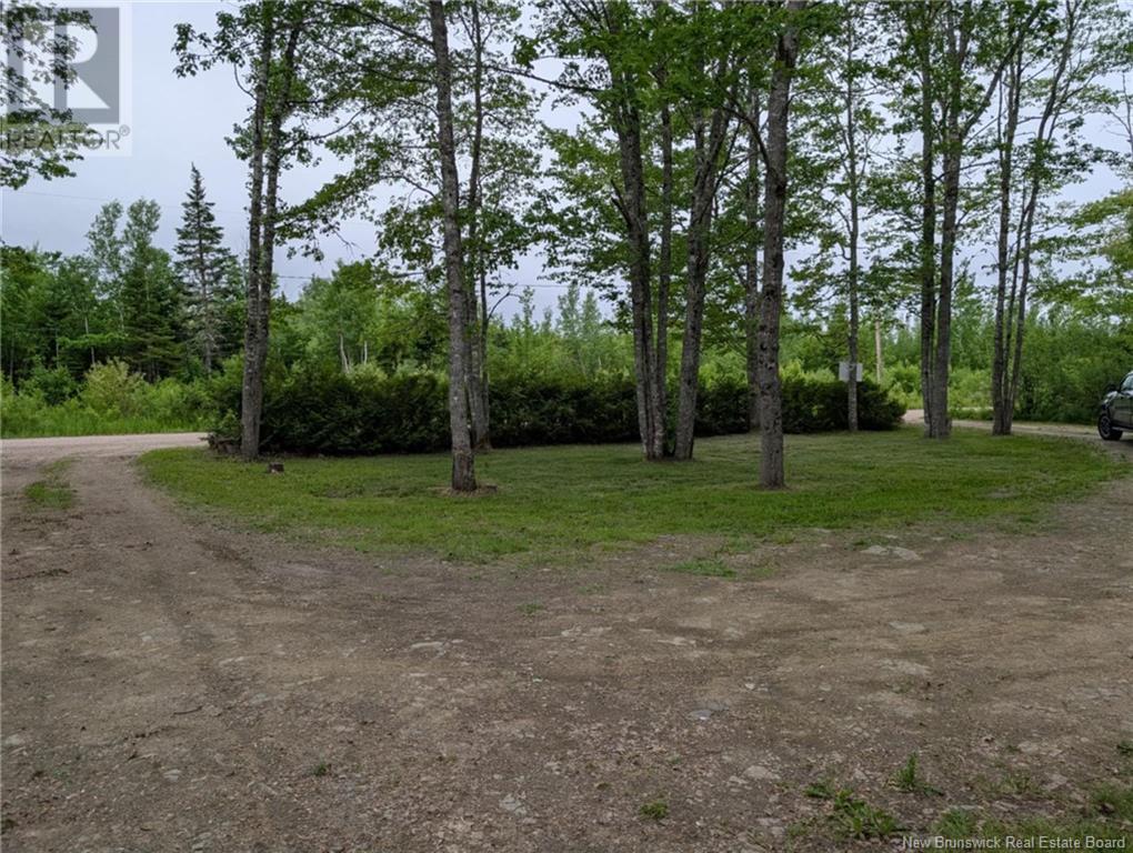 16 Carson Road, Havelock, New Brunswick  E4Z 0A5 - Photo 25 - NB119722