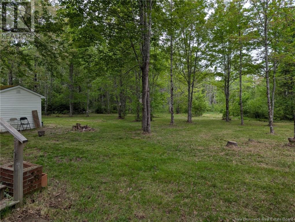 16 Carson Road, Havelock, New Brunswick  E4Z 0A5 - Photo 26 - NB119722