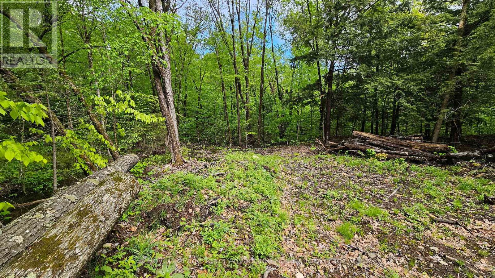 31 Pinewood Road, Mcdougall, Ontario  P2A 2W7 - Photo 8 - X12173074