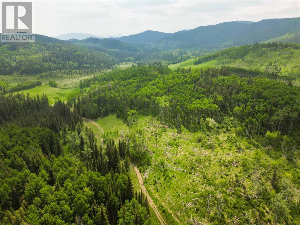 37 Aspen Creek Drive, Rural Foothills County, Alberta  T0L 0K0 - Photo 6 - A2225862