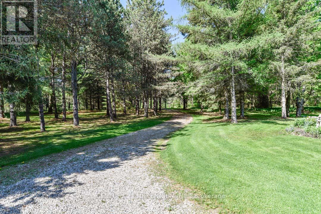 248504 5 Sideroad, Mono, Ontario  L9W 6L3 - Photo 8 - X12217961