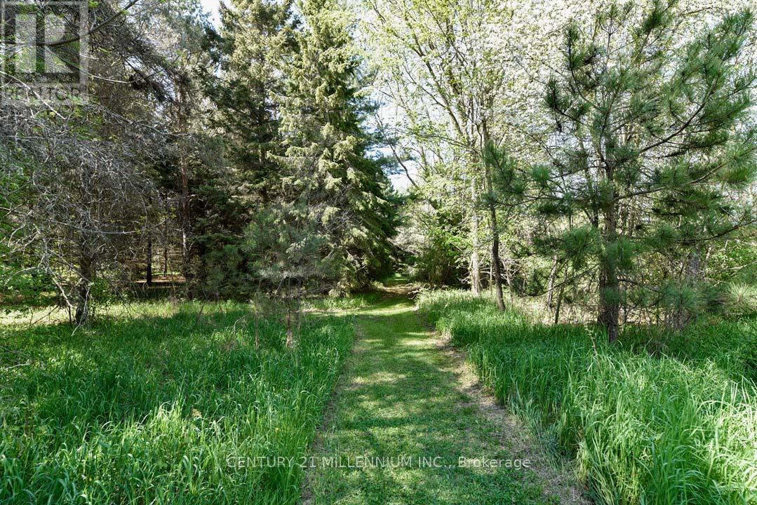 248504 5 Sideroad, Mono, Ontario  L9W 6L3 - Photo 38 - X12217961