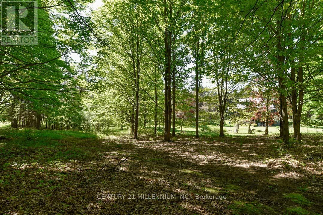 248504 5 Sideroad, Mono, Ontario  L9W 6L3 - Photo 41 - X12217961