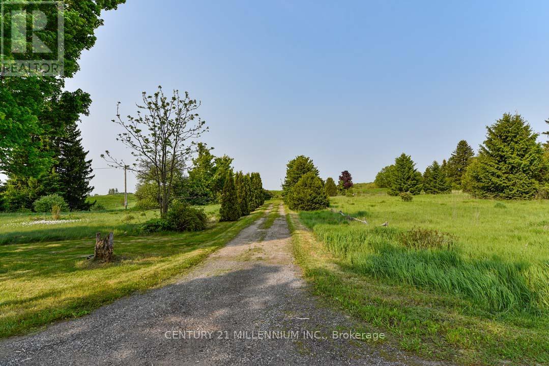 18323 Shaws Creek Road, Caledon, Ontario  L7K 1L2 - Photo 10 - W12217982