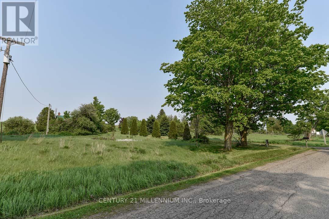 18323 Shaws Creek Road, Caledon, Ontario  L7K 1L2 - Photo 6 - W12217982