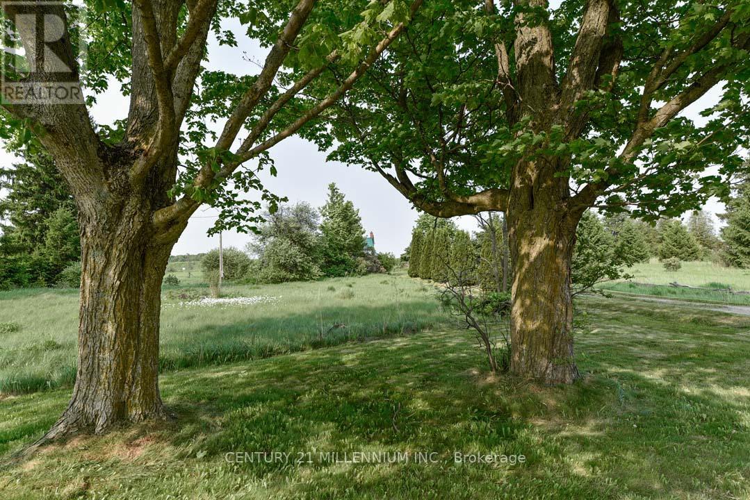 18323 Shaws Creek Road, Caledon, Ontario  L7K 1L2 - Photo 7 - W12217982