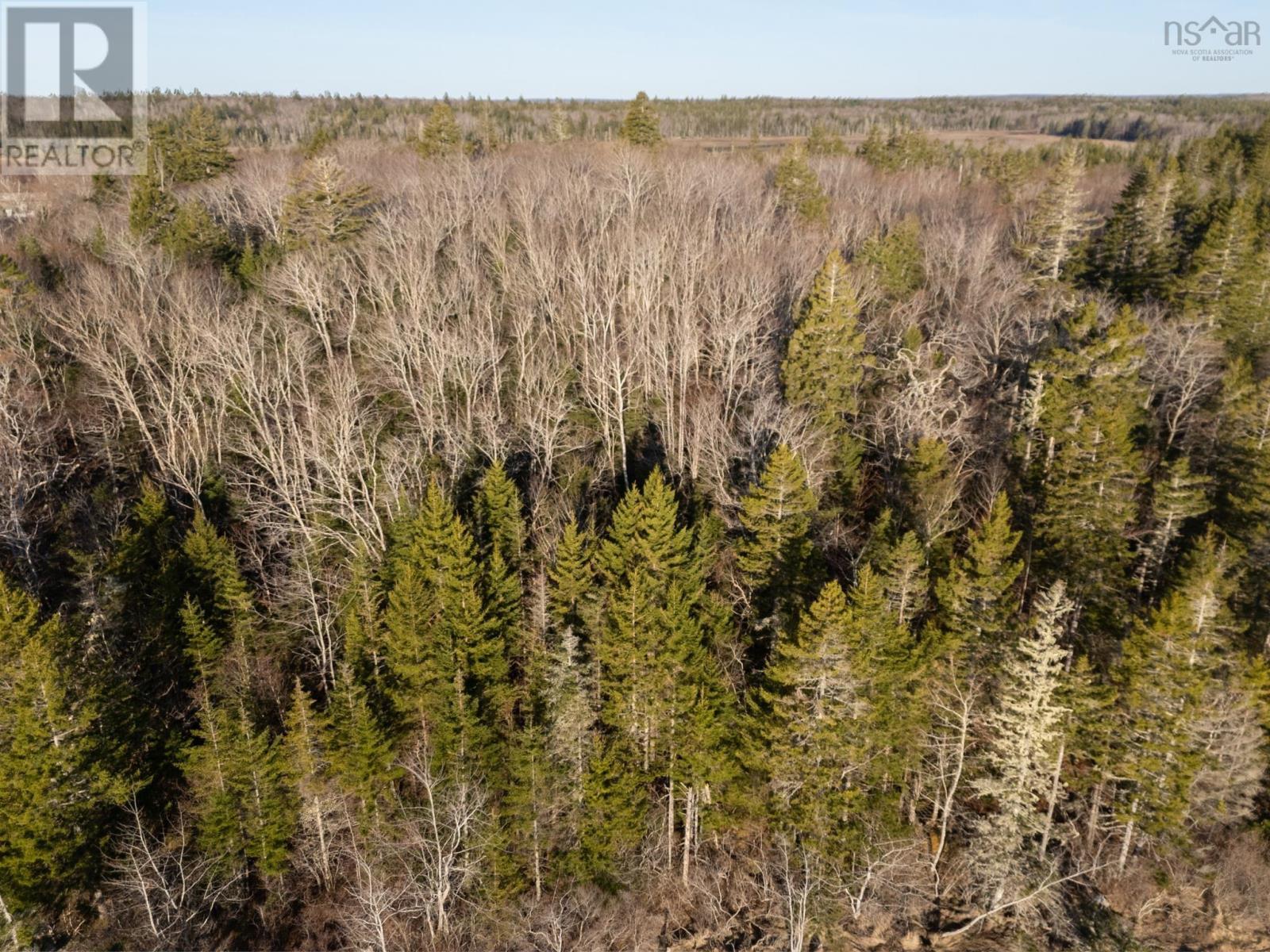 Lot 1 Highway 308, Morris Island, Nova Scotia  B0W 3M0 - Photo 14 - 202507065