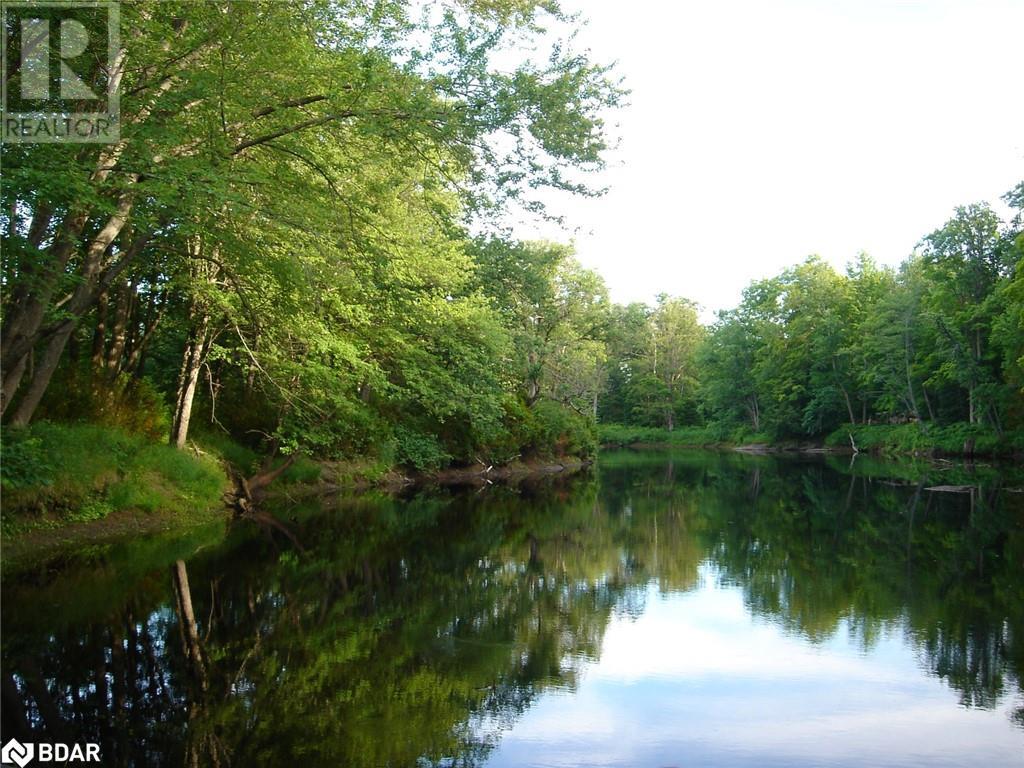 7012 County Road 169, Washago, Ontario  L0K 2B0 - Photo 9 - 40700303
