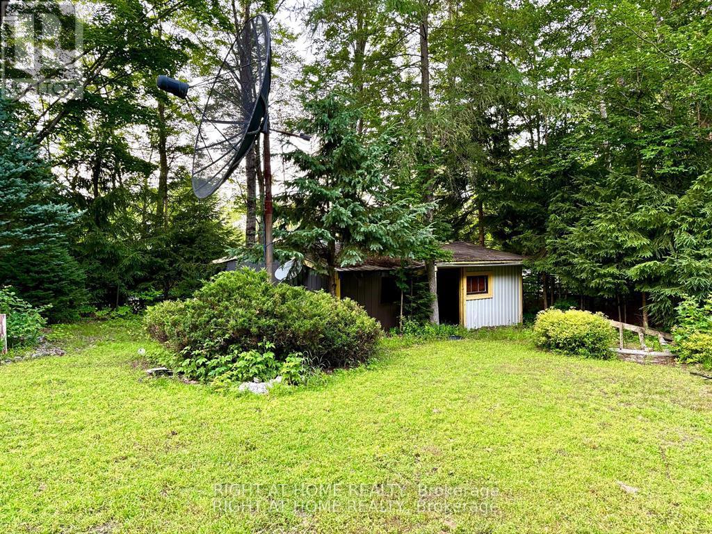 2162 Bay Lake Road, Faraday, Ontario  K0L 1C0 - Photo 3 - X12215630