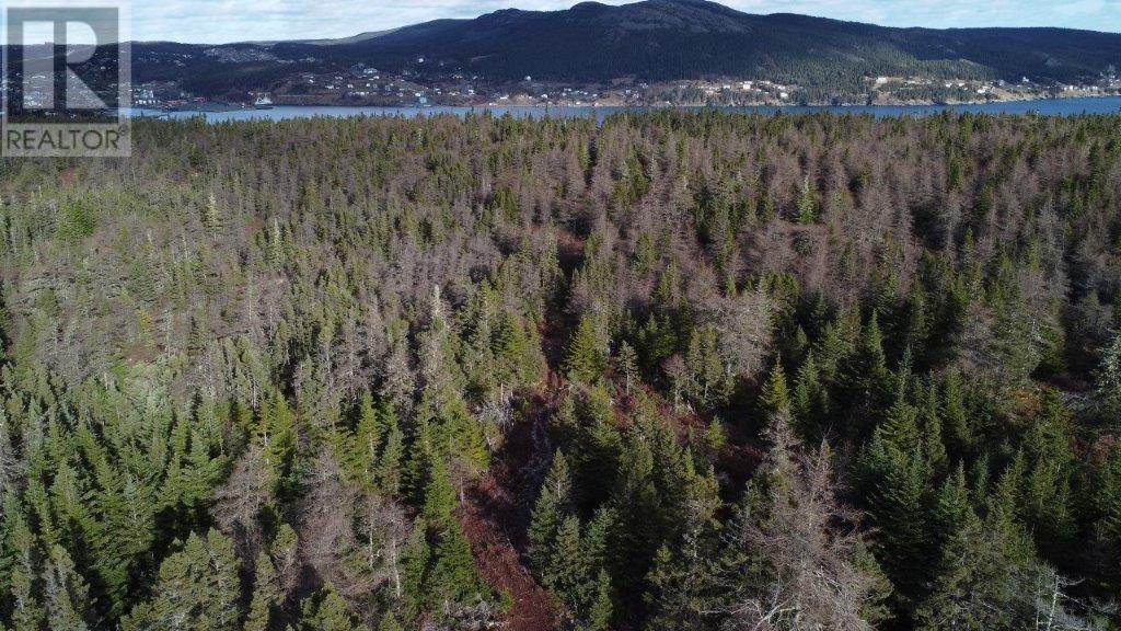 178 Track Road Extension, Bay Bulls, Newfoundland & Labrador  A0A 1C0 - Photo 2 - 1286436