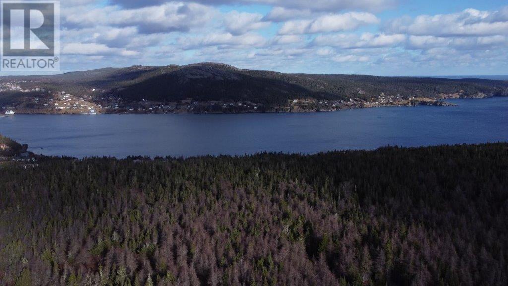 178 Track Road Extension, Bay Bulls, Newfoundland & Labrador  A0A 1C0 - Photo 8 - 1286436