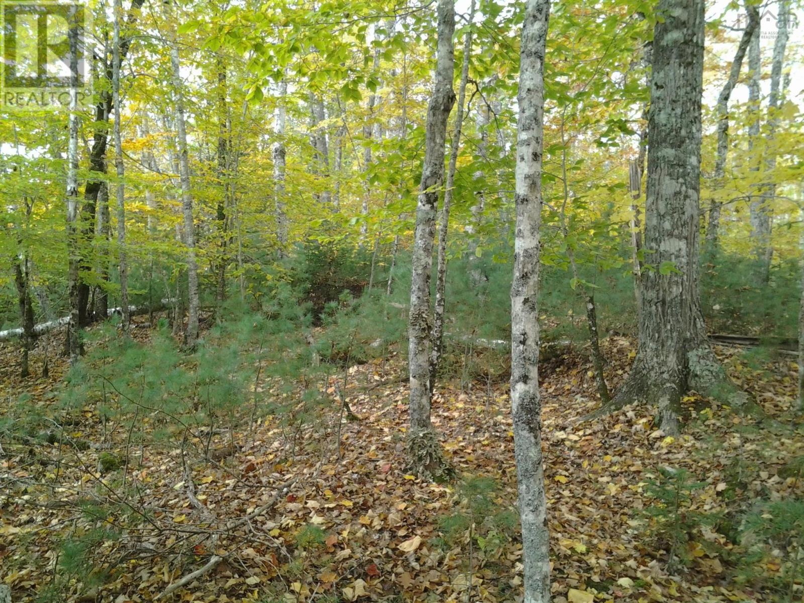 (Pid 70148325) Little Brother Island, Labelle, Nova Scotia  B0T 1E0 - Photo 14 - 202508582
