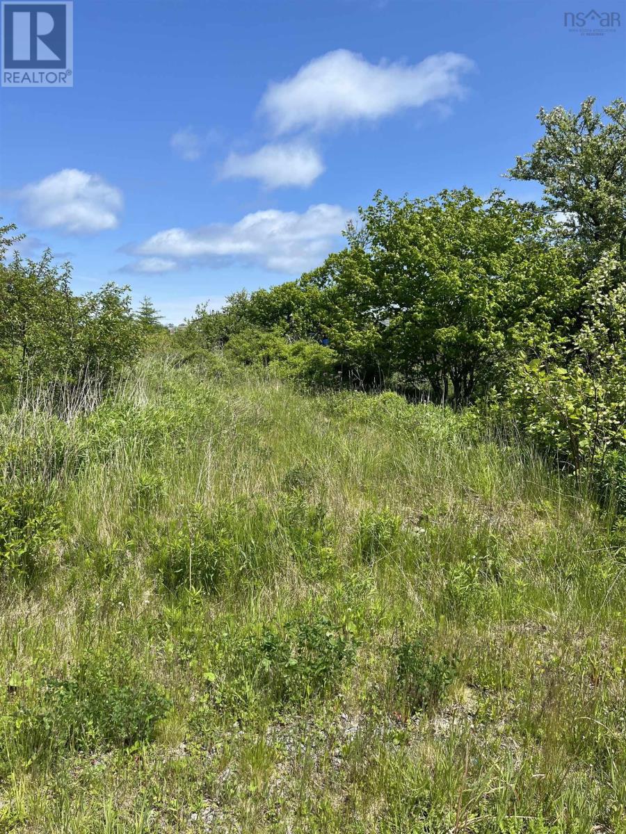 39 Winona Street, Glace Bay, Nova Scotia  B1A 1H3 - Photo 2 - 202514532