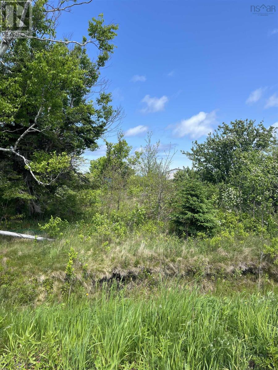 39 Winona Street, Glace Bay, Nova Scotia  B1A 1H3 - Photo 3 - 202514532