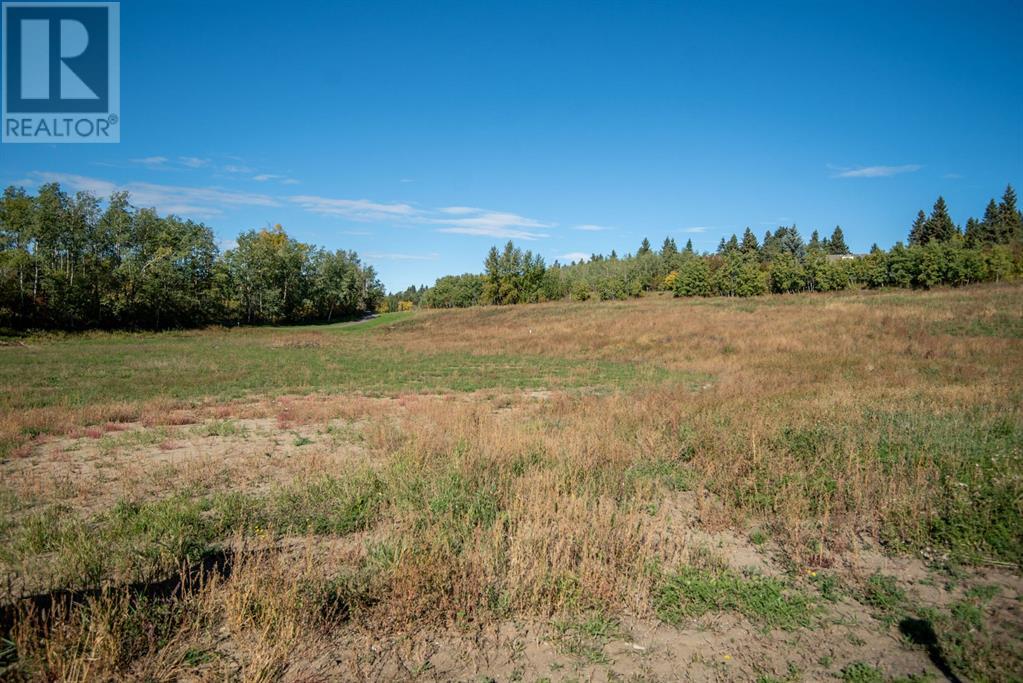 152, 27111 597 Highway, Rural Lacombe County, Alberta  T0M 0J0 - Photo 7 - A2229966