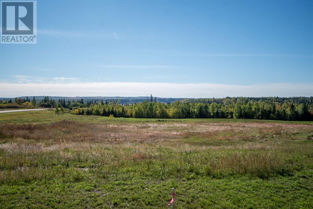 176, 27111 597 Highway, Rural Lacombe County, Alberta  T0M 0J0 - Photo 9 - A2229967