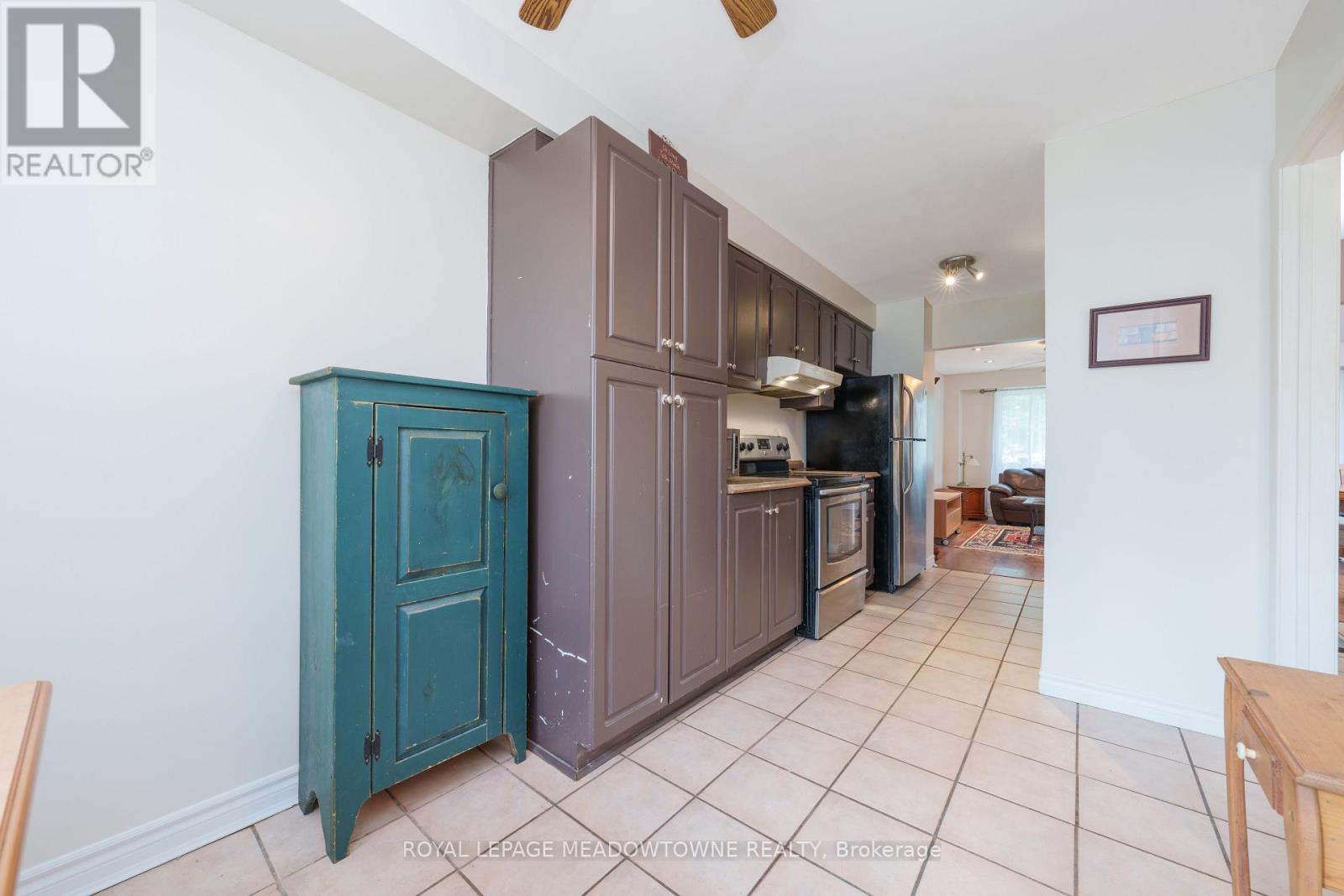 48 Elmvale Avenue, Brampton, Ontario  L6Z 1A5 - Photo 14 - W12218161
