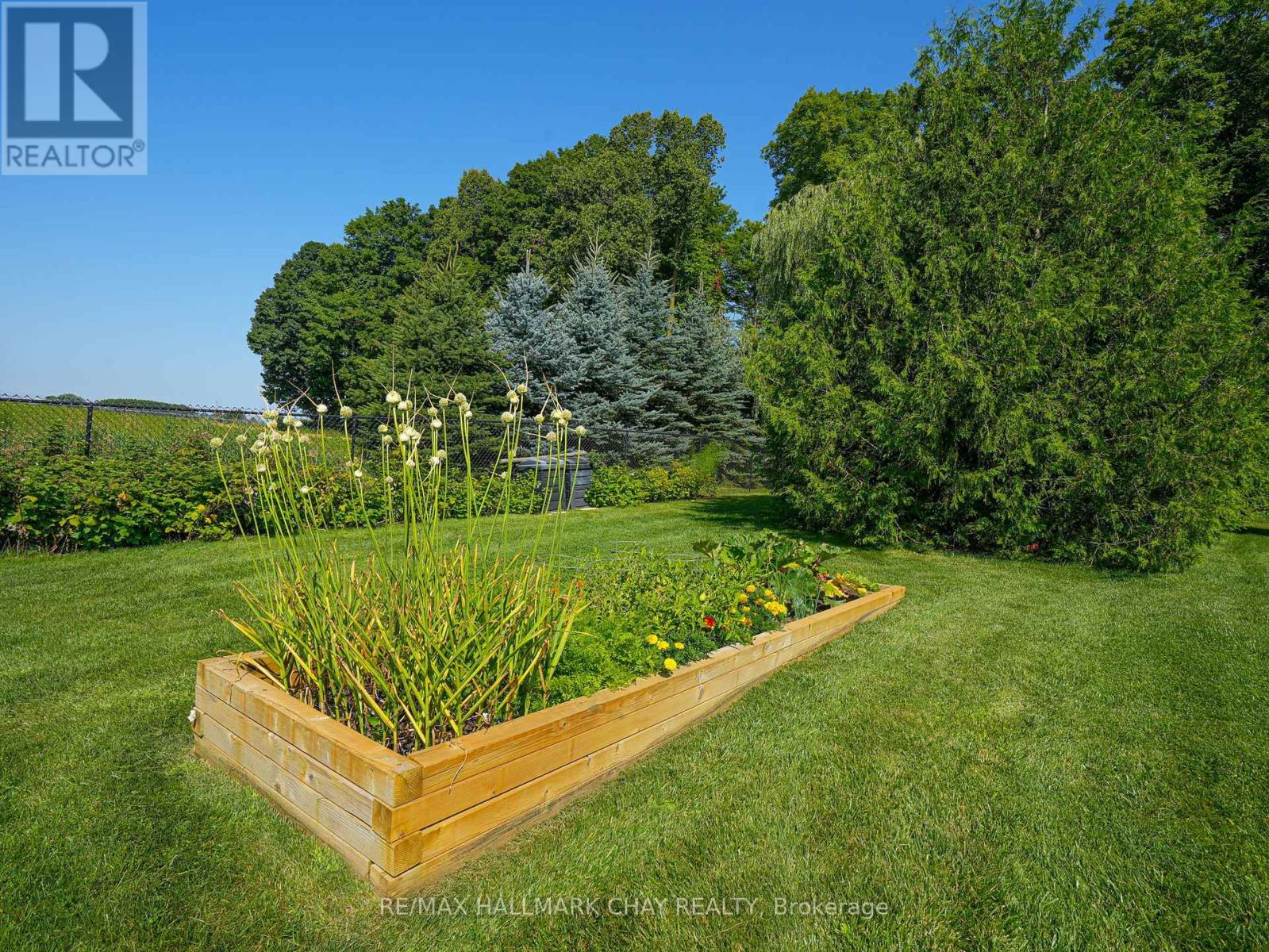 7558 Concession Road 2 Road, Adjala-Tosorontio, Ontario  L0M 1M0 - Photo 38 - N12069572