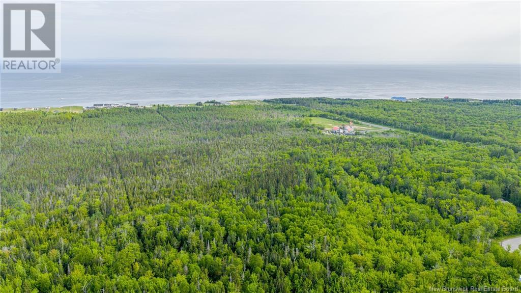 8.9hec-2 Ave Foret, Grande-Anse, New Brunswick  E8N 1A3 - Photo 3 - NB098192
