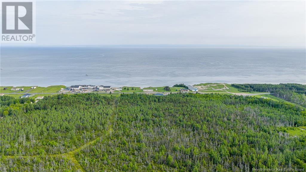 8.9hec-2 Ave Foret, Grande-Anse, New Brunswick  E8N 1A3 - Photo 5 - NB098192