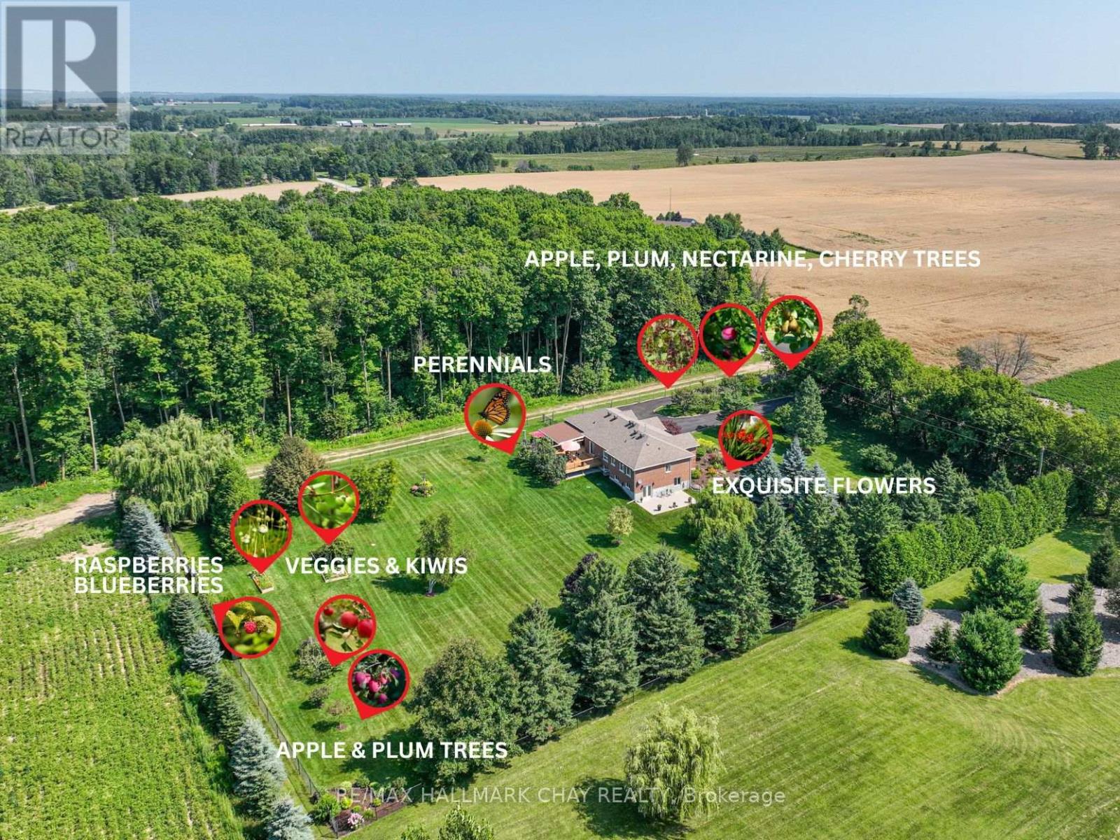 7558 Concession Road 2 Road, Adjala-Tosorontio, Ontario  L0M 1M0 - Photo 44 - N12069572