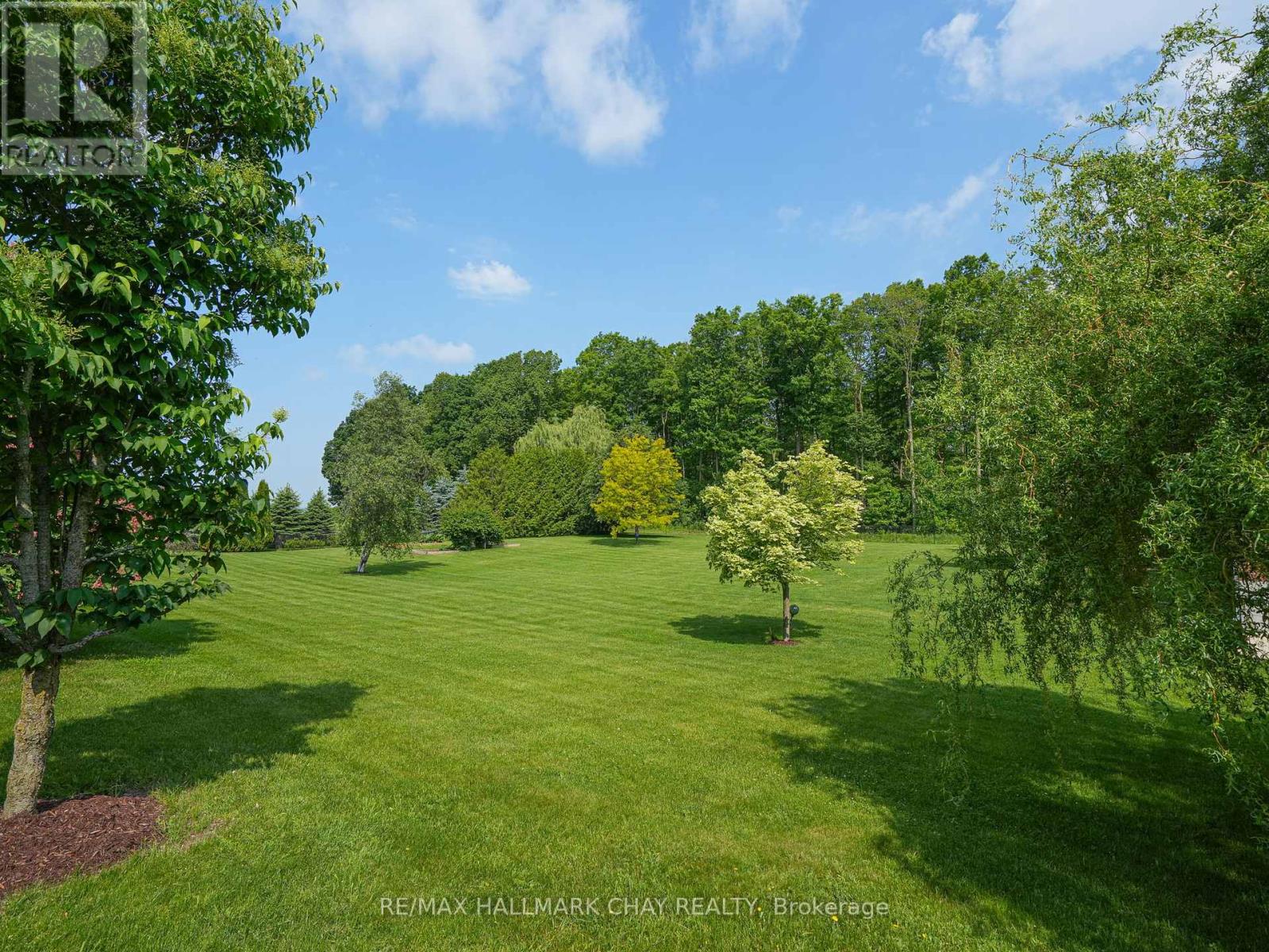 7558 Concession Road 2 Road, Adjala-Tosorontio, Ontario  L0M 1M0 - Photo 34 - N12069572