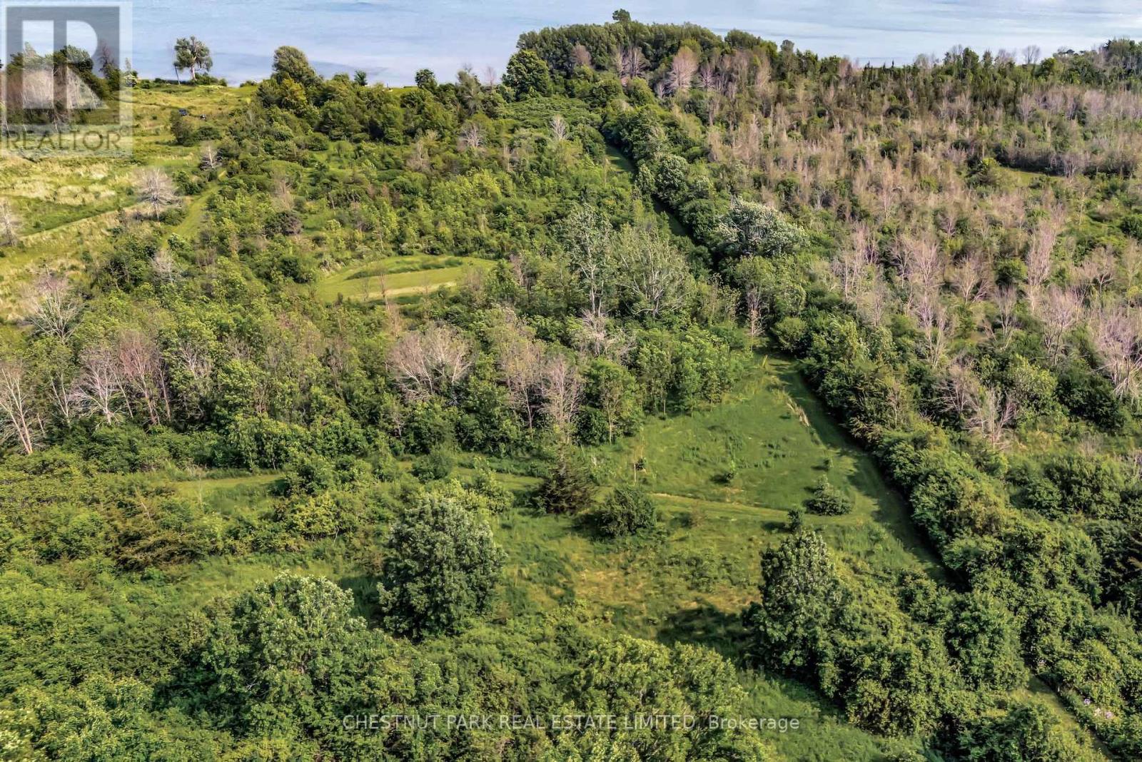 1929 County Rd 13, Prince Edward County, Ontario  K0K 2P0 - Photo 17 - X12218219
