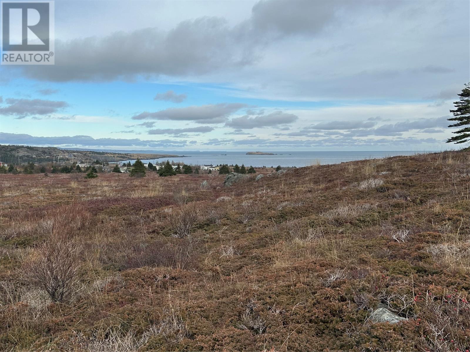 19a Hawks Nest Road, Bryants Cove, Newfoundland & Labrador  A0A 3P0 - Photo 19 - 1286443