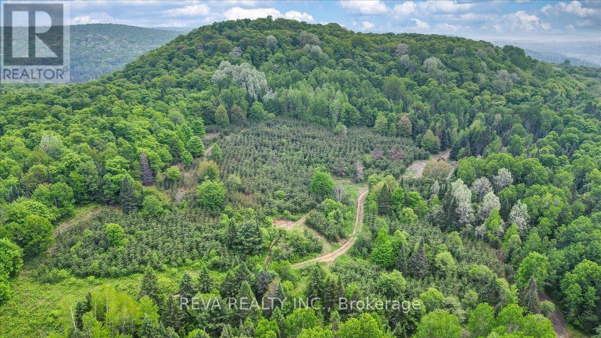 351 Deer Lake Road, Perry, Ontario  P0A 1J0 - Photo 31 - X11986429