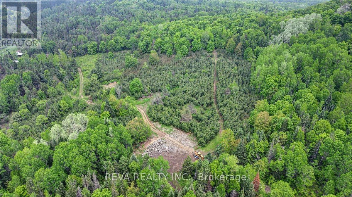 351 Deer Lake Road, Perry, Ontario  P0A 1J0 - Photo 32 - X11986429