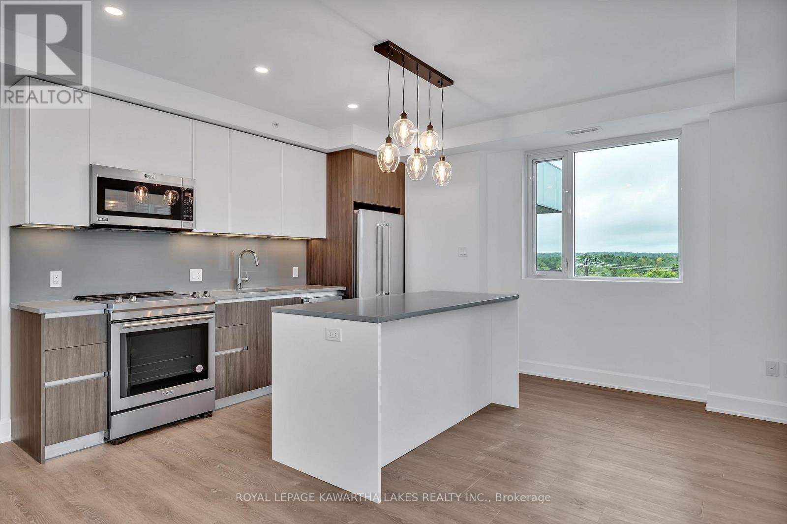 404 - 195 Hunter Street E, Peterborough East, Ontario  K9H 1G9 - Photo 6 - X12159782