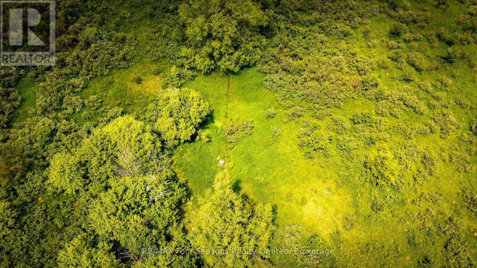 Con 7 21 Side Road, Blue Mountains, Ontario  N0H 1J0 - Photo 10 - X12218416